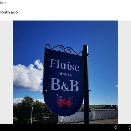 Fiuise B&B Dingle Exteriér fotografie