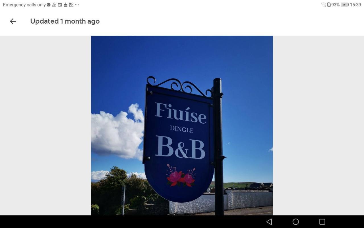Fiuise B&B Dingle Exteriér fotografie
