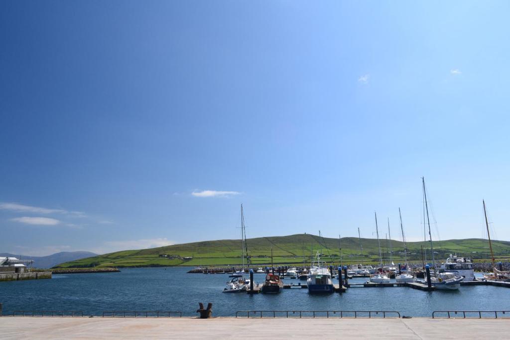 Fiuise B&B Dingle Exteriér fotografie