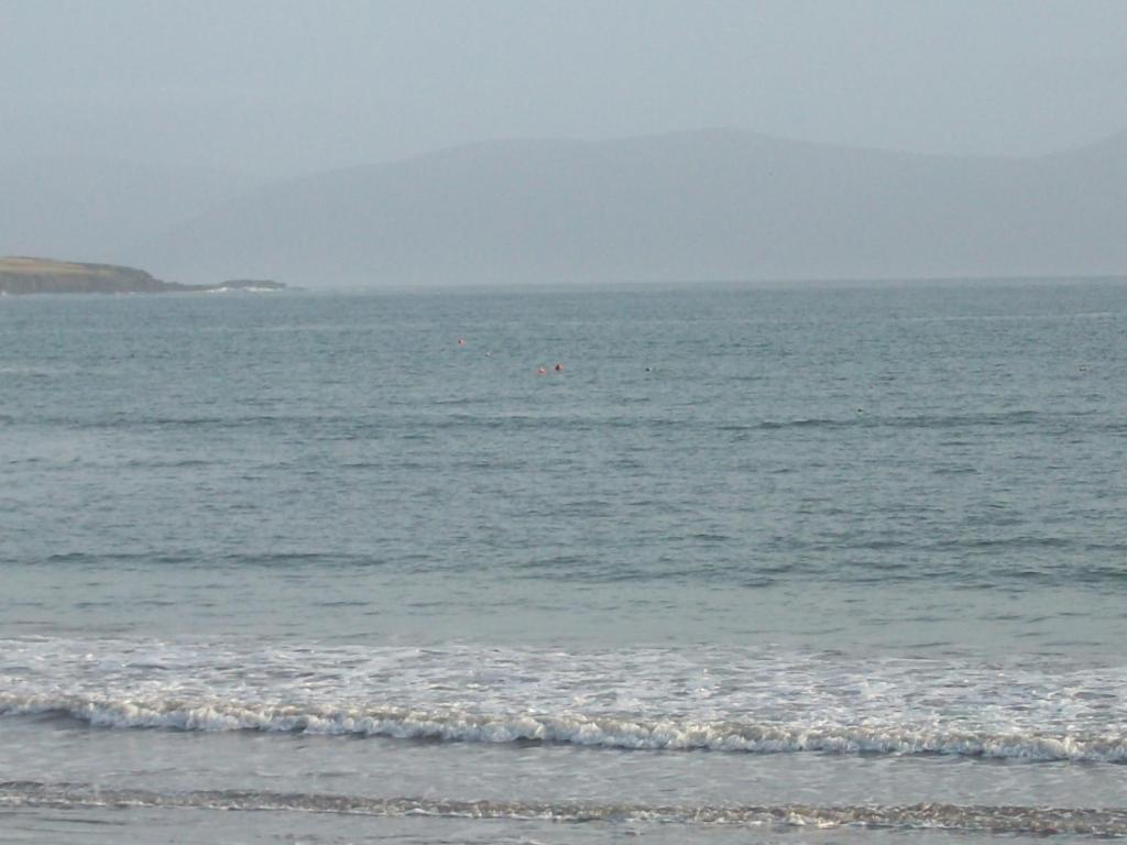 Fiuise B&B Dingle Exteriér fotografie