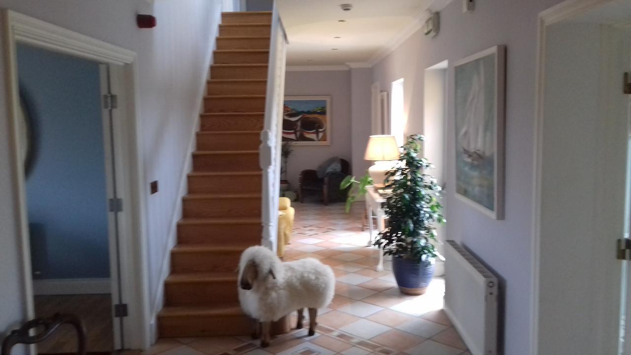Fiuise B&B Dingle Exteriér fotografie